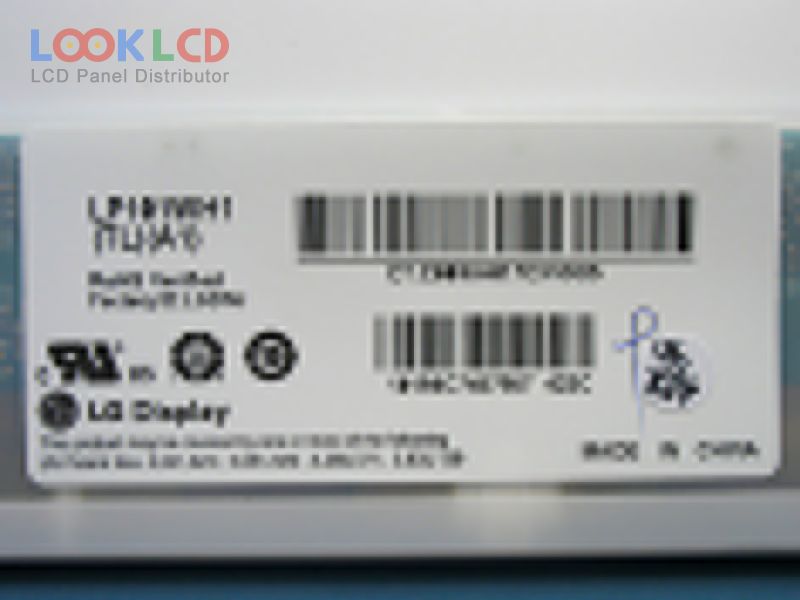 LP101WH1-TLA1